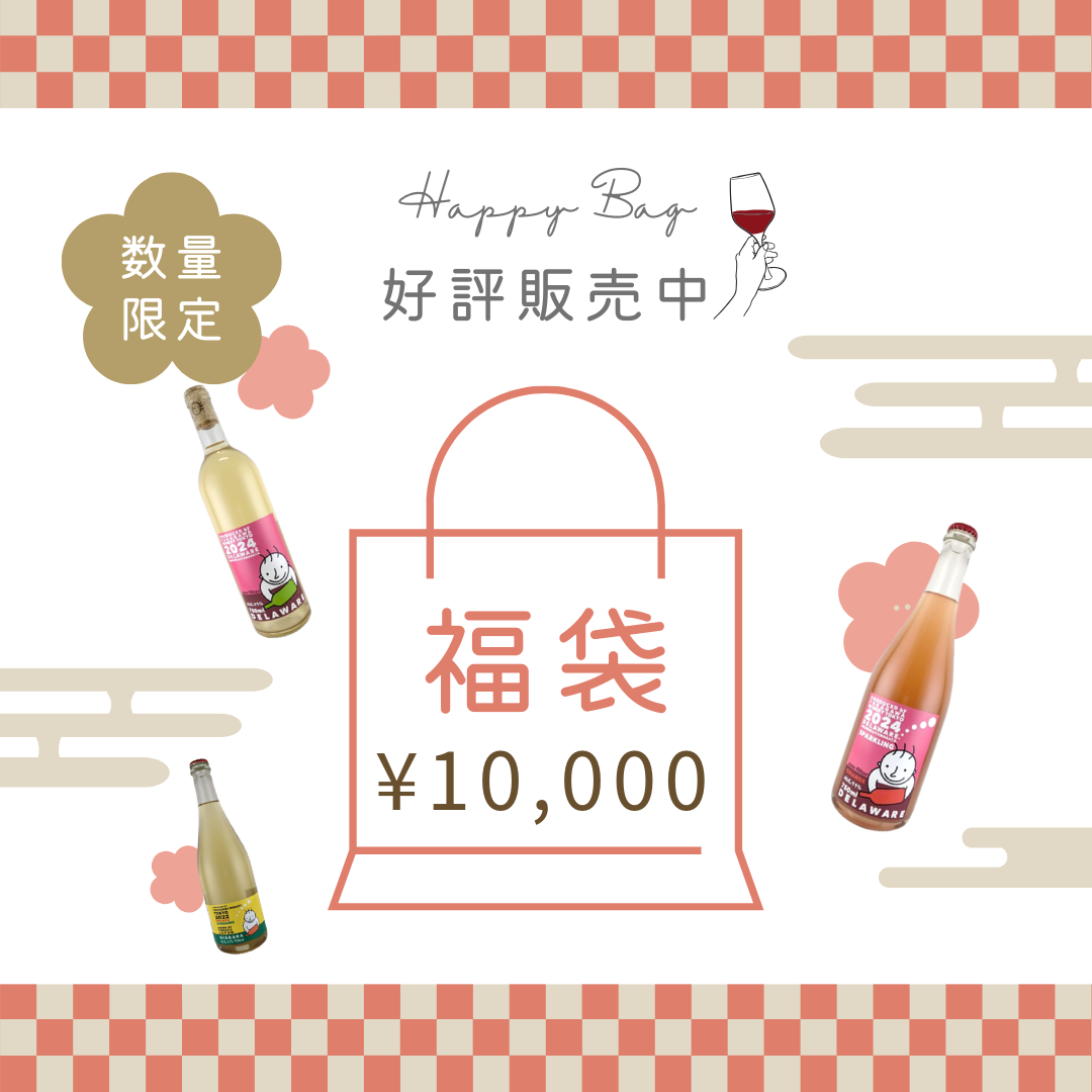 【送料無料】数量限定!2026福袋5本セット