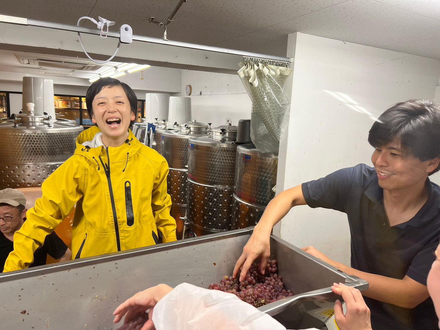 【新醸造人初リリース】セラヴィ!ブラン:豪州マスカット・ゴルド