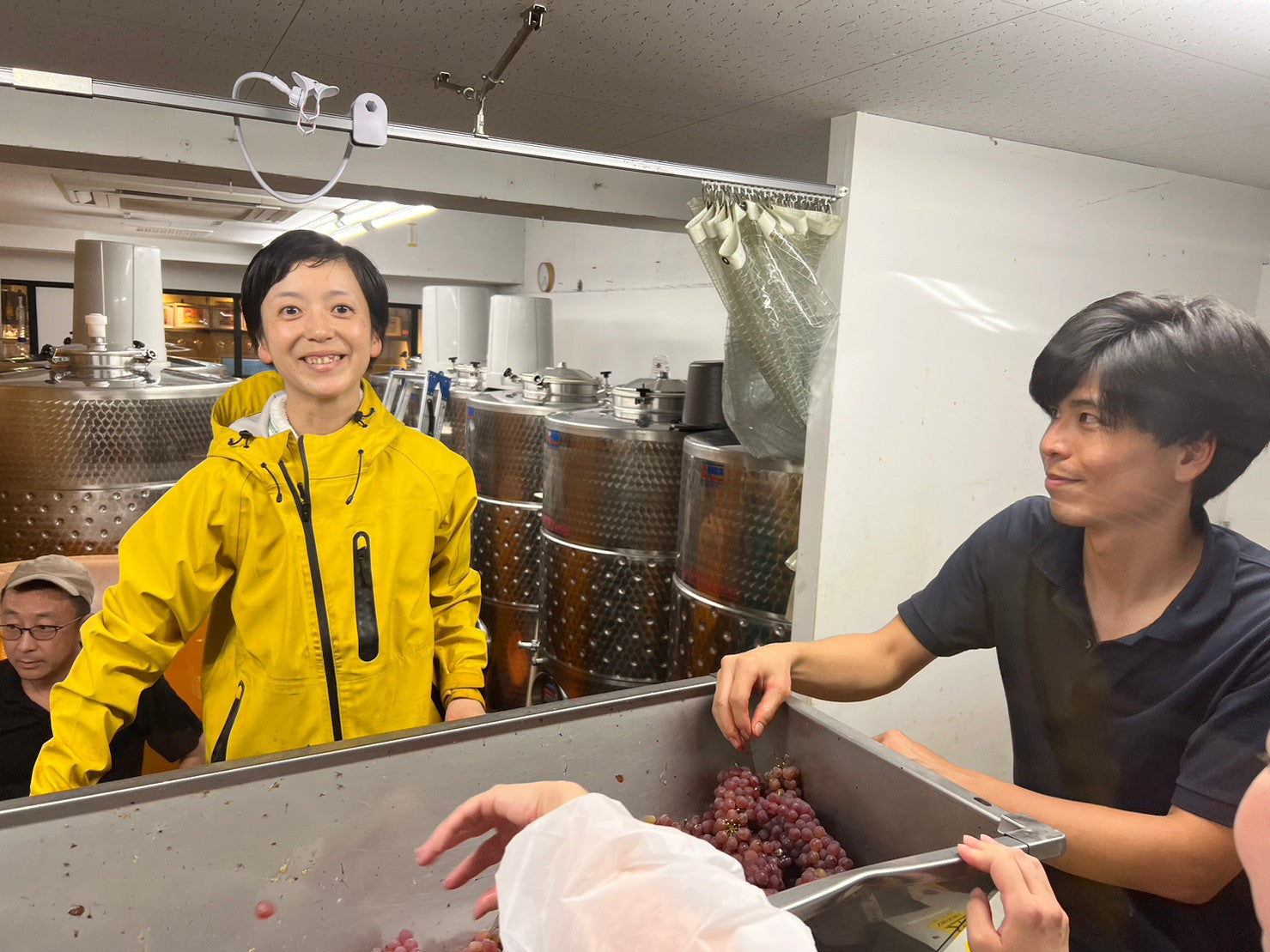 【新醸造人初リリース】セラヴィ!ブラン:豪州マスカット・ゴルド