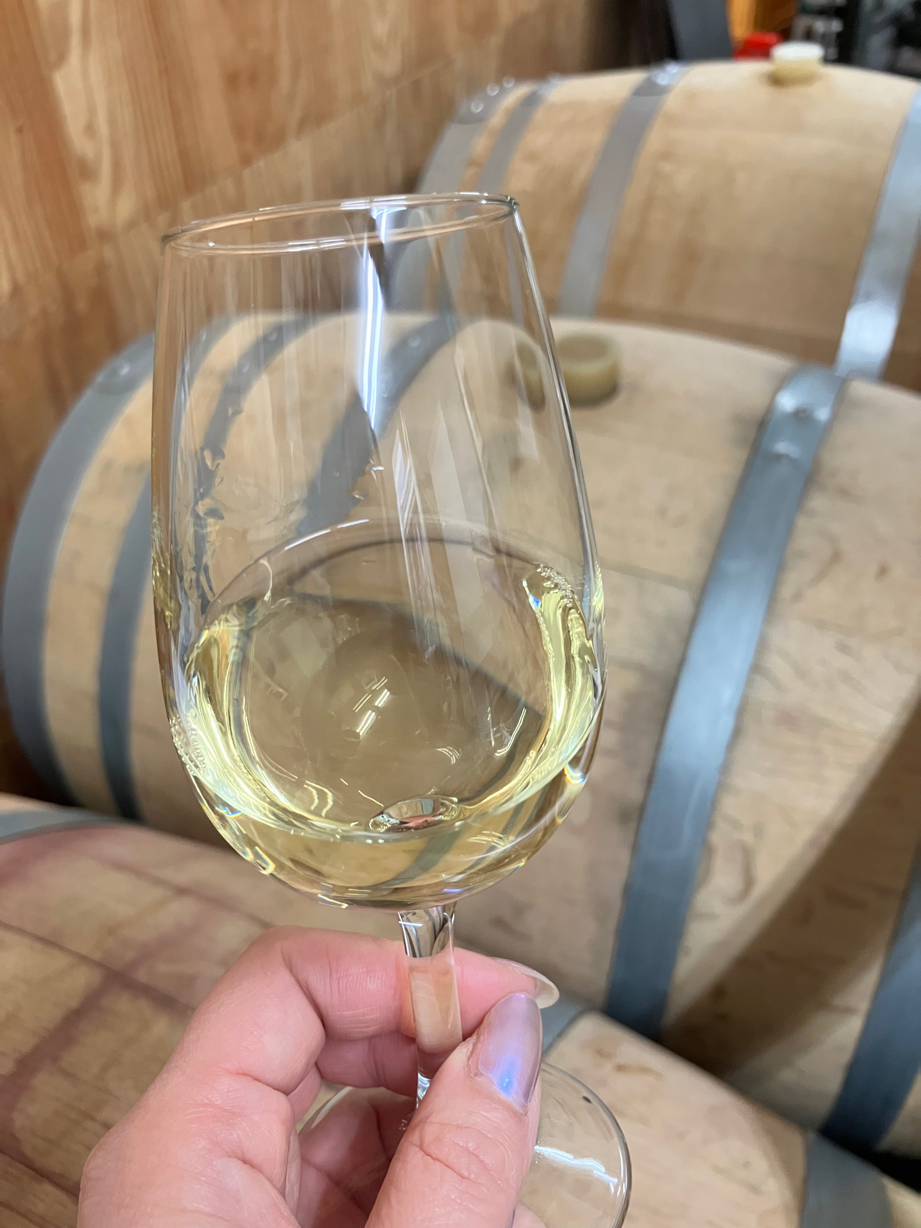 【DWWA 2025銀賞受賞!】山形県産シャルドネ木樽熟成2023