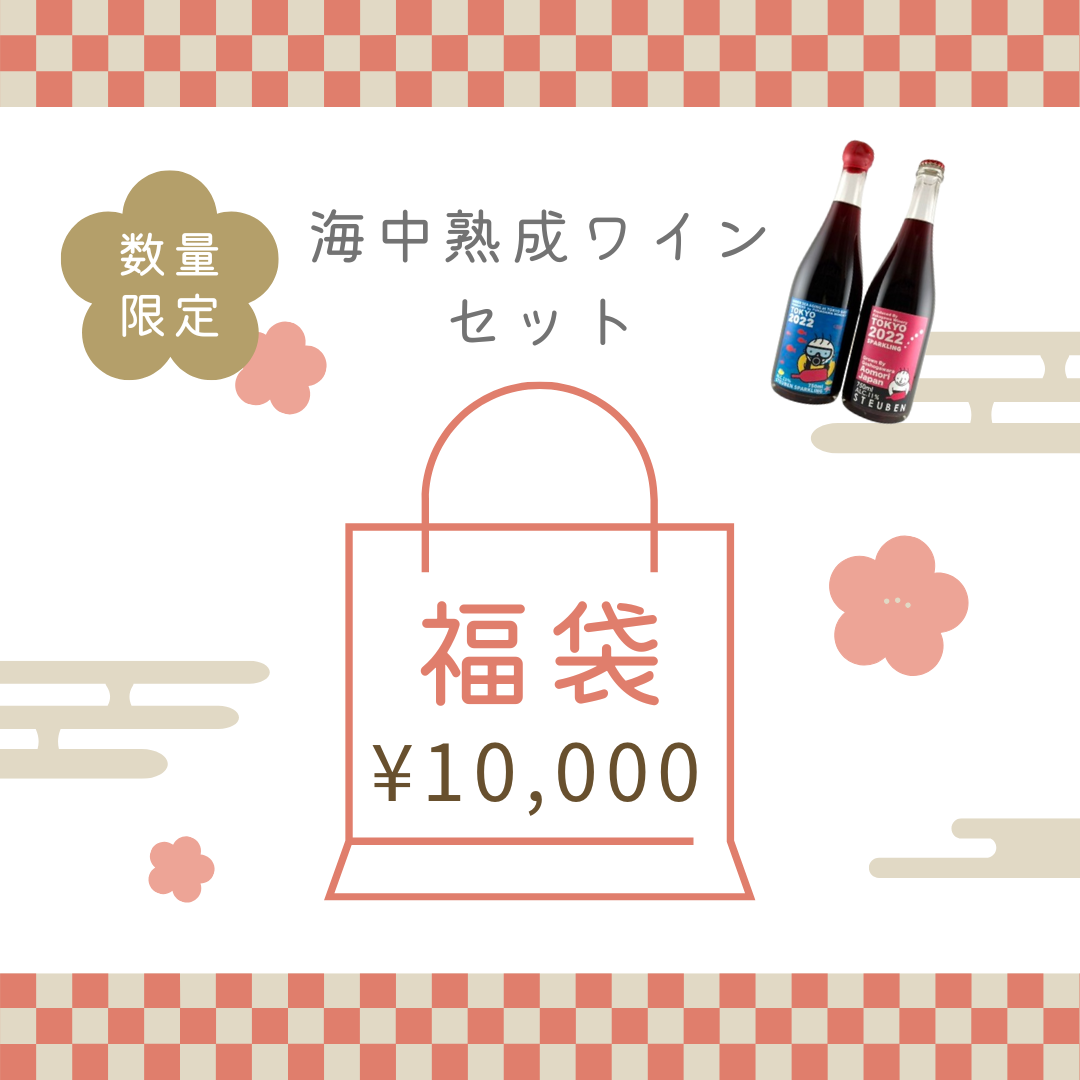【送料無料】数量限定!2026福袋 海中熟成ワインセット
