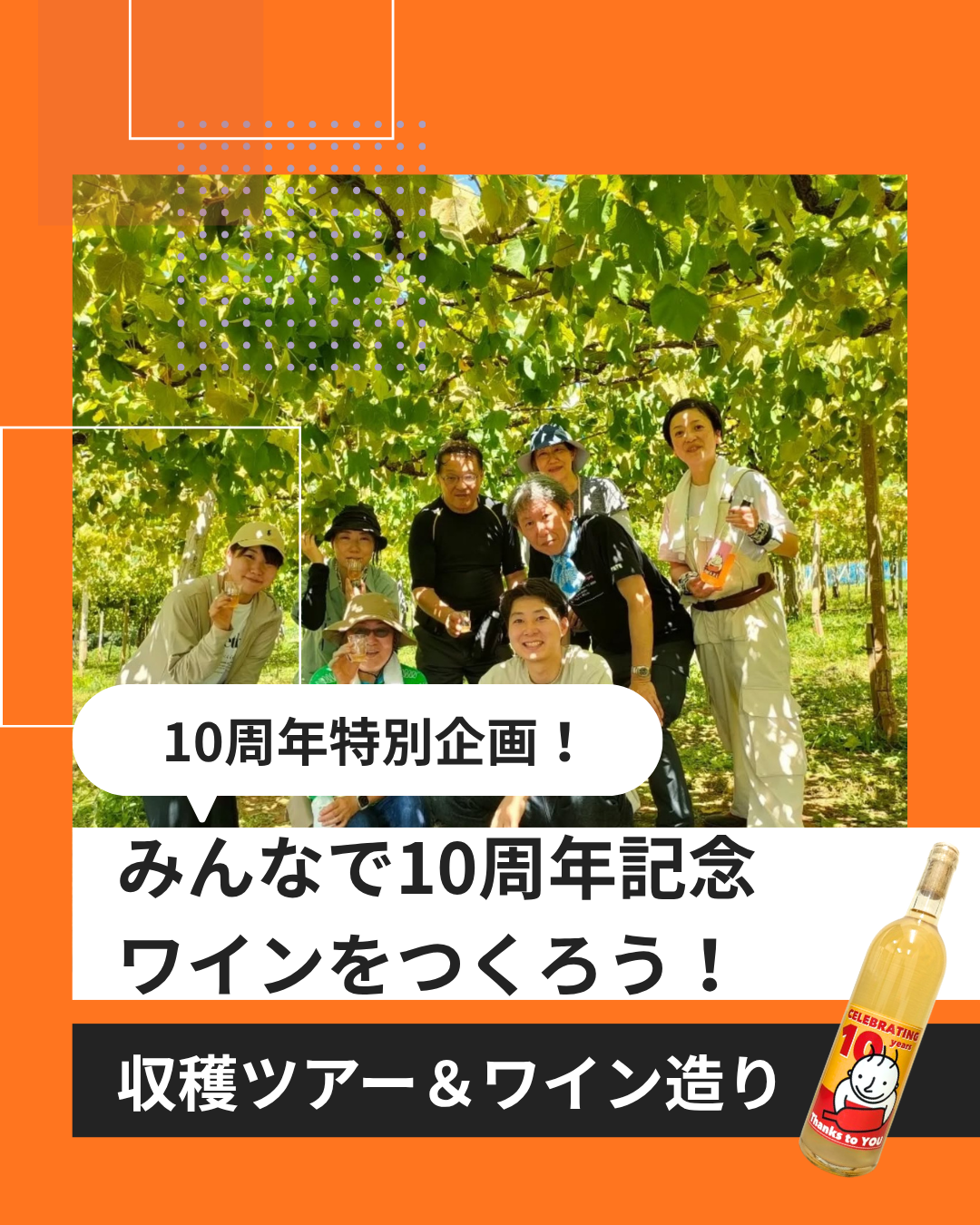 【深川ワイナリー10周年記念企画 🍷 】みんなで10周年記念ワインを一緒につくろう！